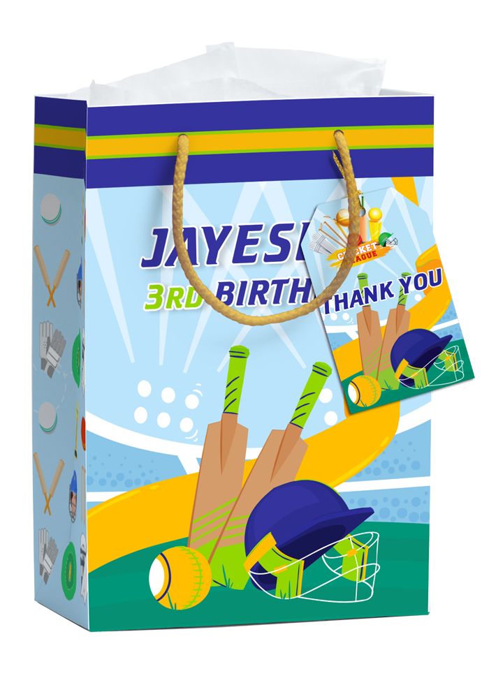cricket theme paper bag for birthday return gifts